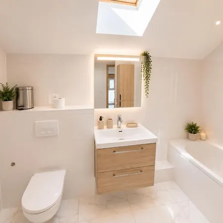 Maison Premium Entre Du Bourget Et Montagnes